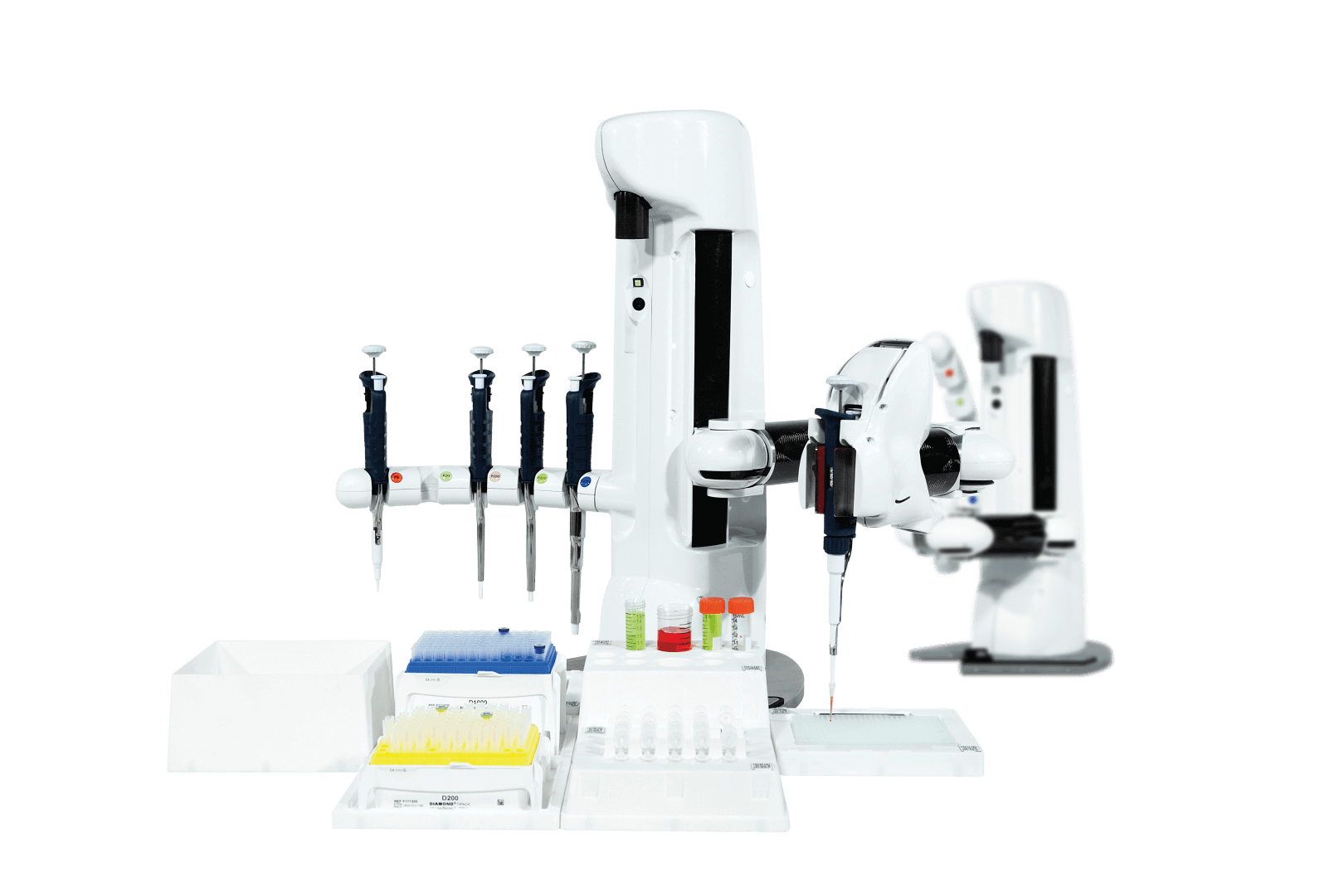 andrew Andrew Alliance