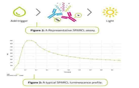 lumigen-image-for-web-aspect-ratio A typical SPARCL luminescence profile