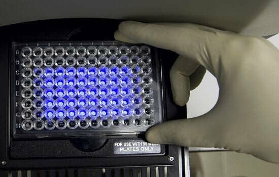 scientist-put-the-plate-into-pcr-machine_small1 Scientist-put-the-plate-into-pcr-machine