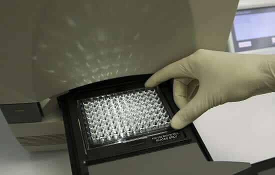 scientist-put-the-plate-into-pcr-machine_small2 the andrew robot