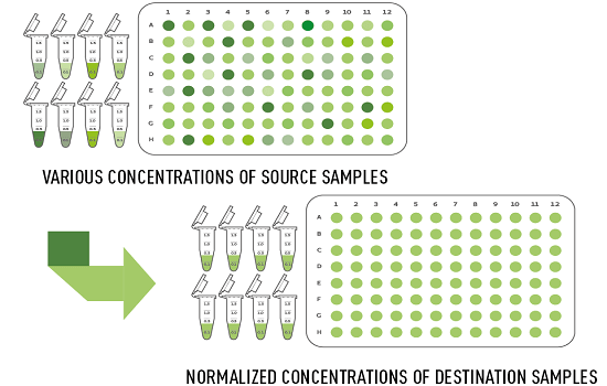 normalization application note normalization application note