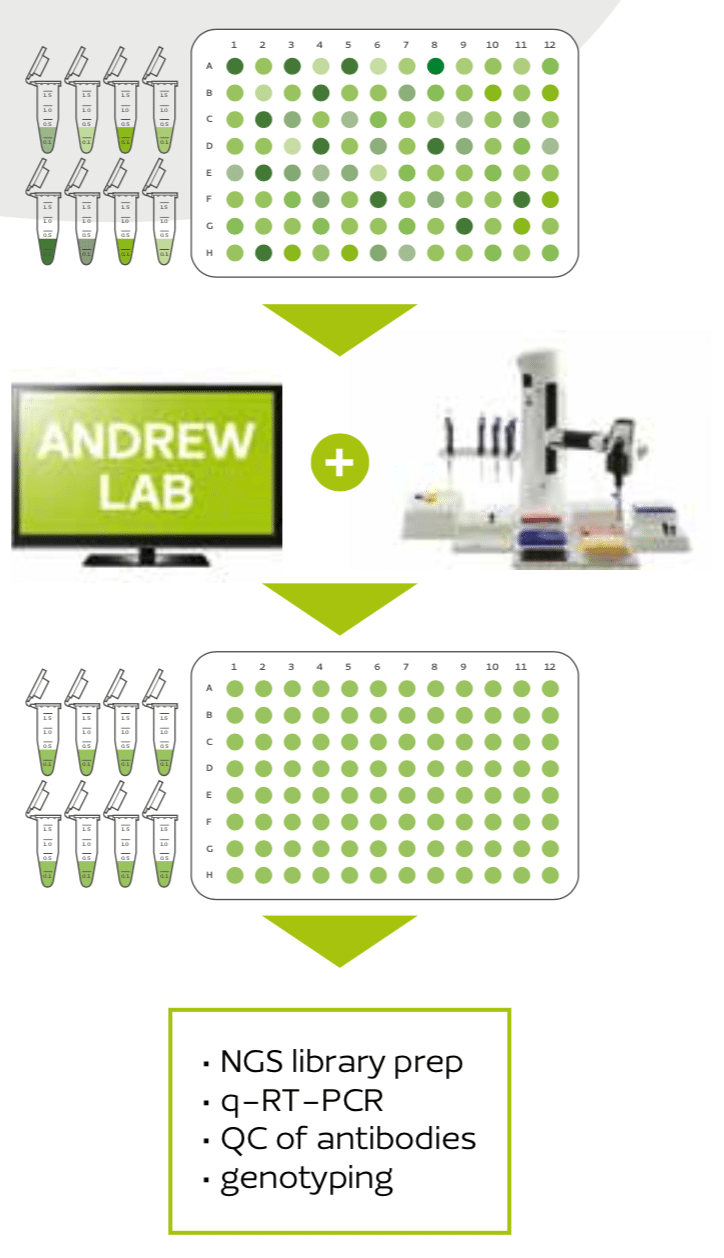 Simplified normalization procedure by Andrew Lab and the robot Andrew