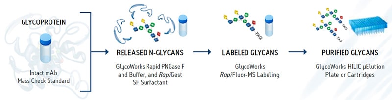 GlycoWorks® N-Glycan Sample Prep - Protocol - OneLab
